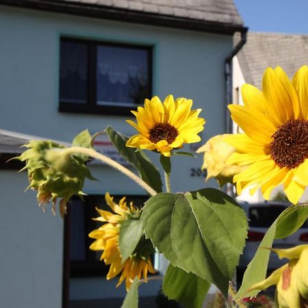 Ferienwohnung Lippmann Grosshartmannsdorf エクステリア 写真