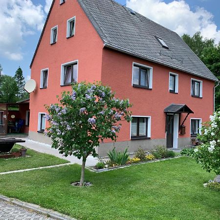 Ferienwohnung Lippmann Grosshartmannsdorf エクステリア 写真