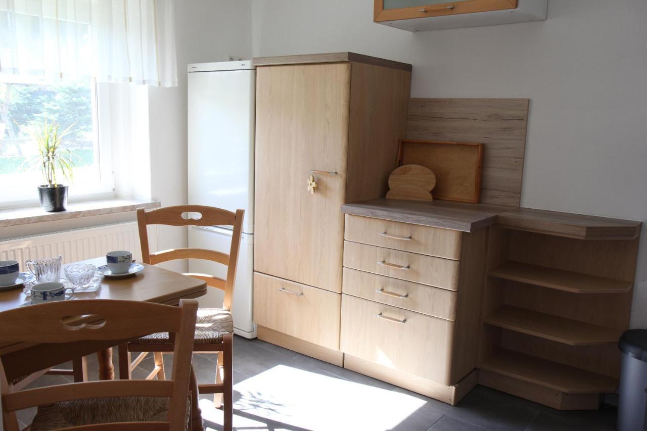 Ferienwohnung Lippmann Grosshartmannsdorf エクステリア 写真