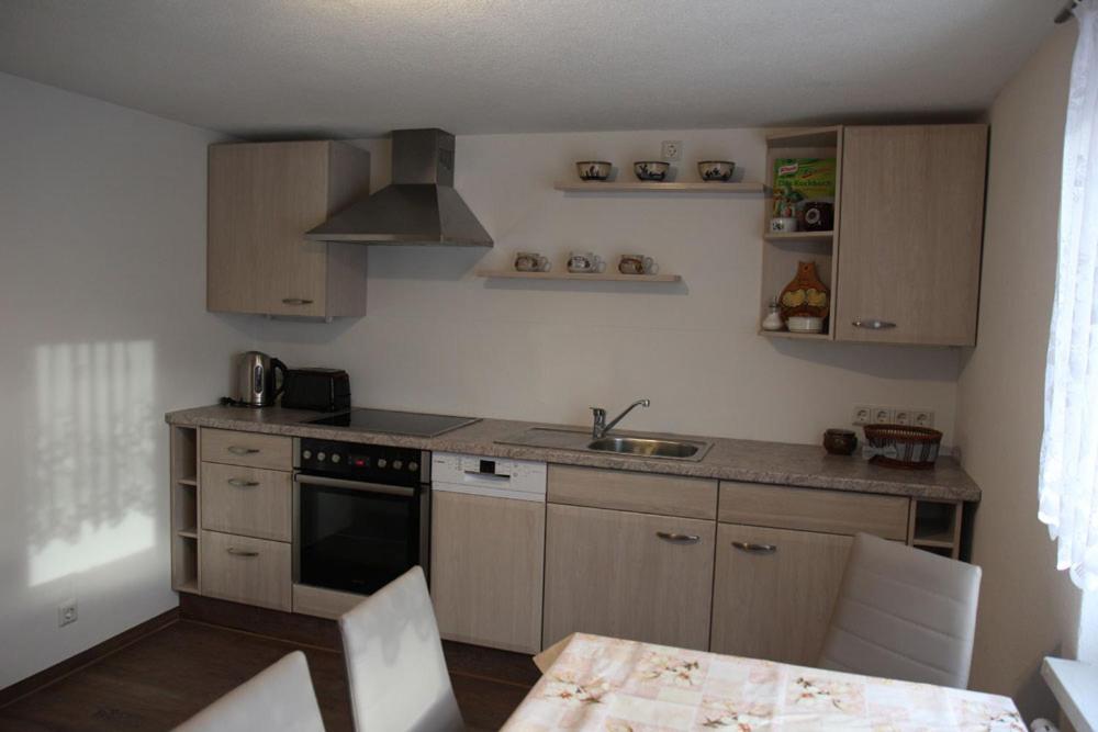 Ferienwohnung Lippmann Grosshartmannsdorf エクステリア 写真