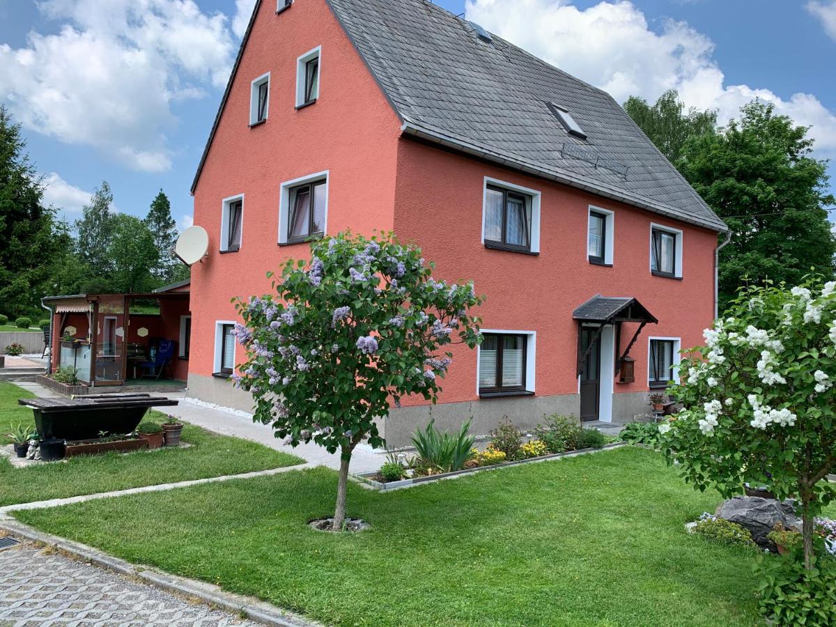 Ferienwohnung Lippmann Grosshartmannsdorf エクステリア 写真